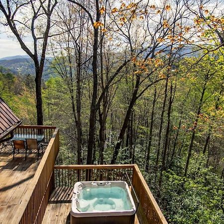 Bear View Chalet With Hot Tub And Near Ober Gatlinburg Luaran gambar